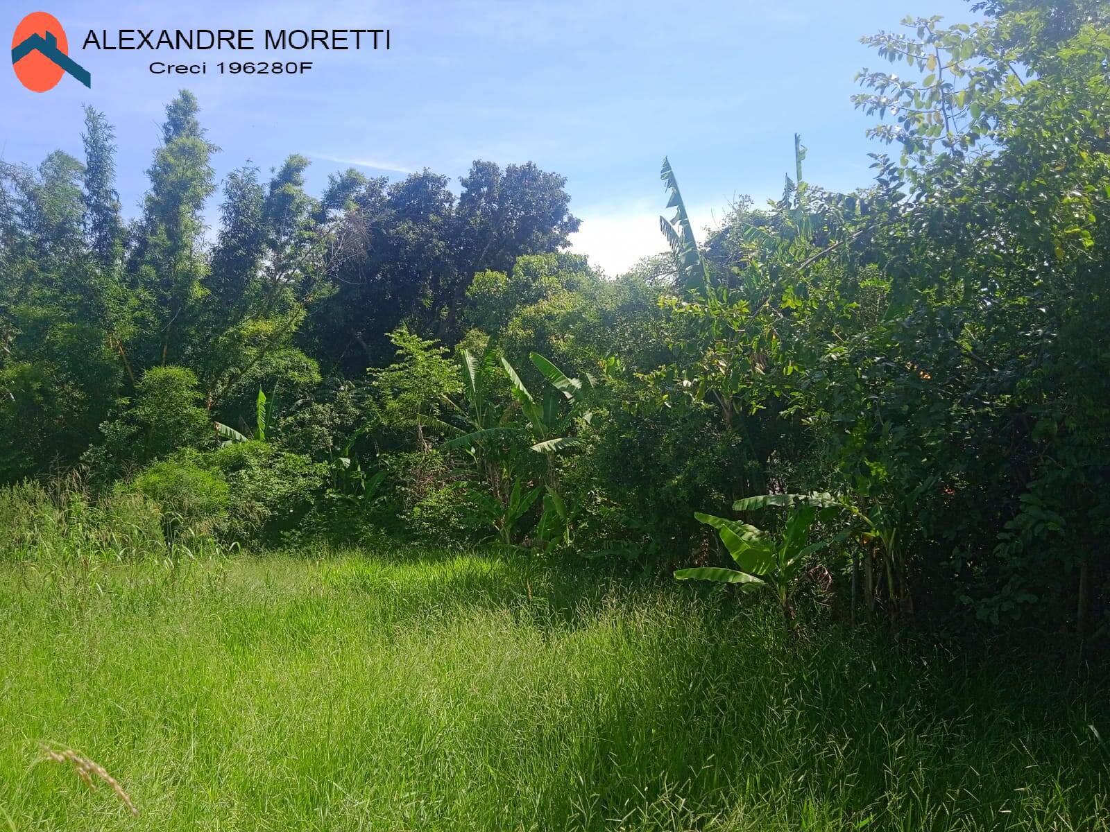 Fazenda à venda, 30000m² - Foto 39