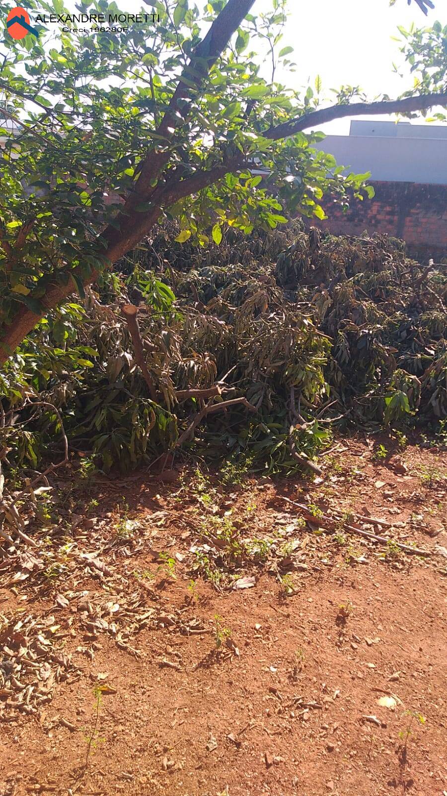 Terreno à venda - Foto 4