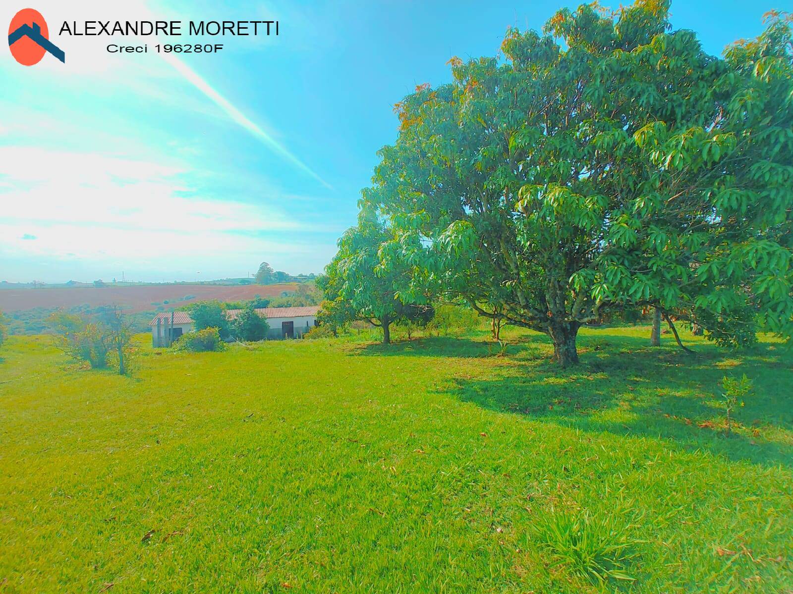 Fazenda à venda com 4 quartos, 400m² - Foto 4