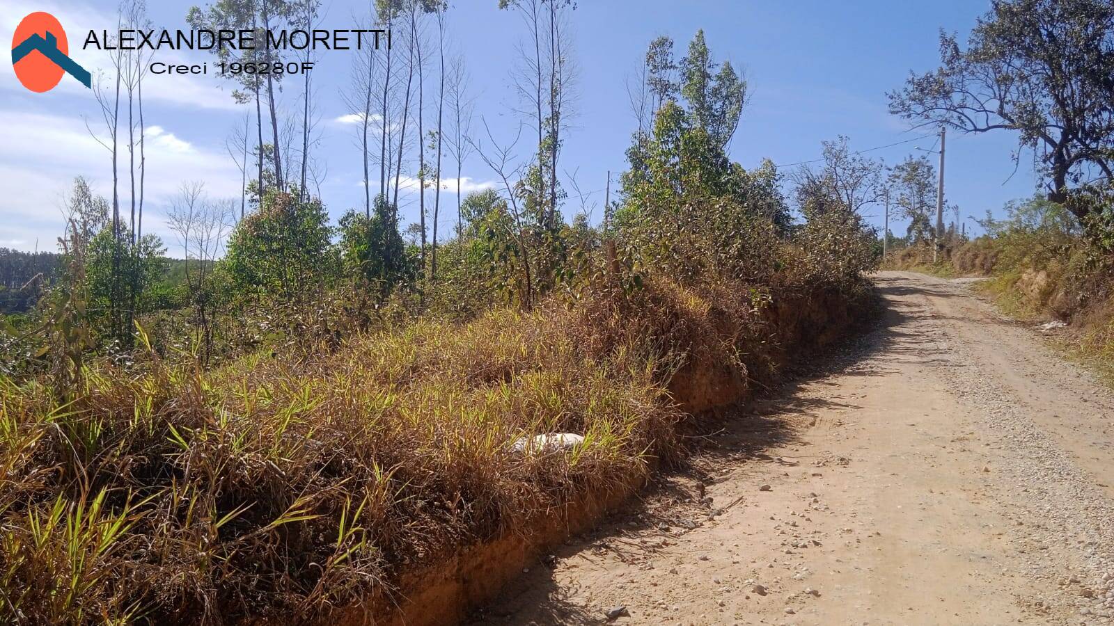 Terreno à venda - Foto 6