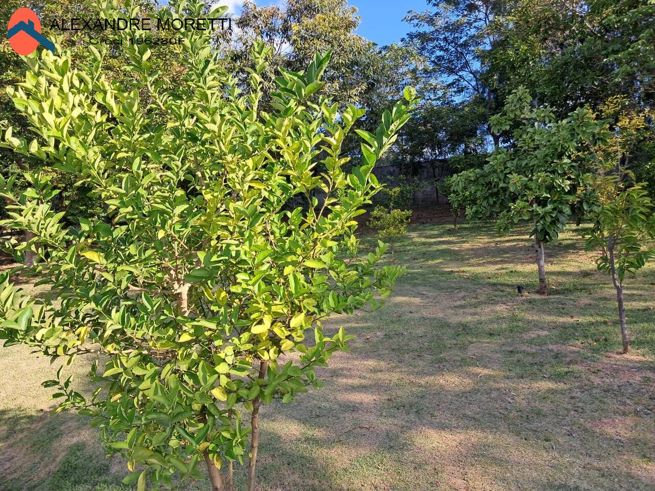 Casa à venda - Foto 43